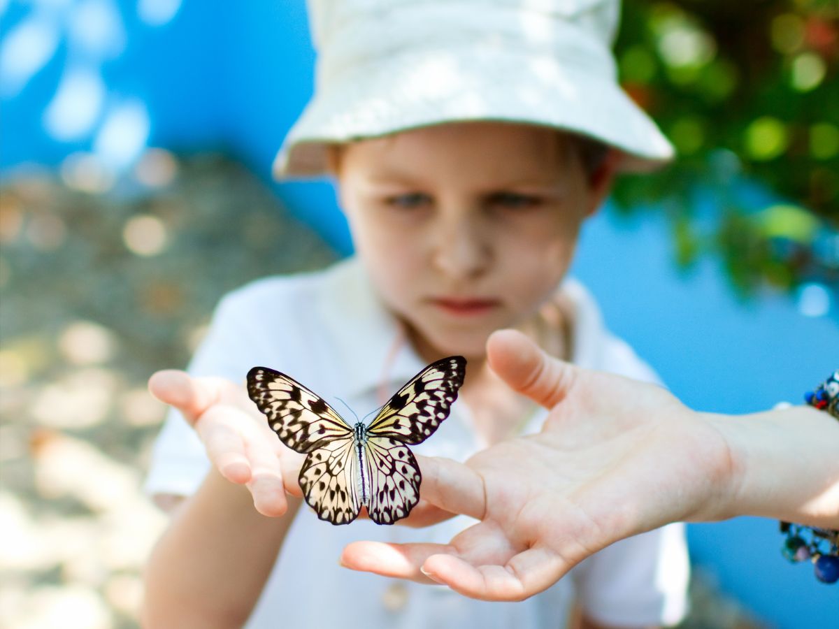 Blog Photos (7) Day Trips from Atlanta: kid with a butterfly